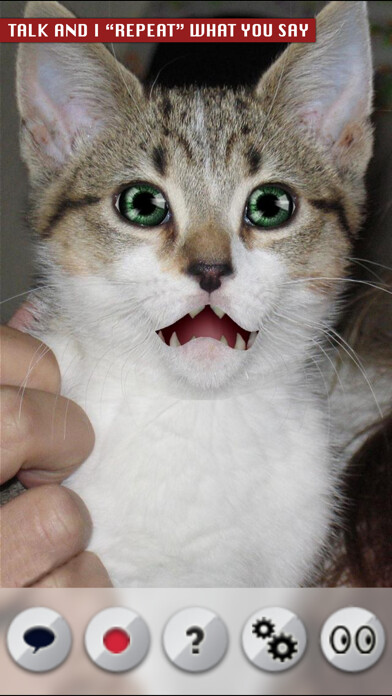 Run android online APK Talking Cat from MyAndroid or emulate Talking Cat using MyAndroid Run android online APK Talking Cat from MyAndroid or emulate Talking Cat using MyAndroid