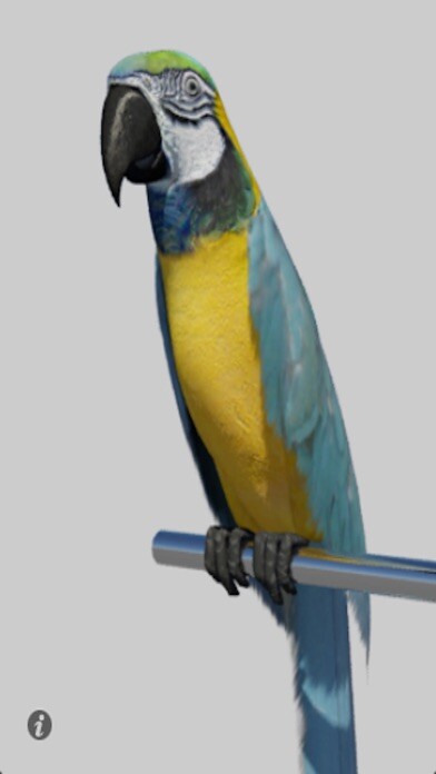 Emulate Android APK Talking Parrot Emulate Android APK Talking Parrot