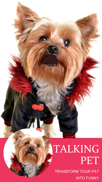 Emulate iPhone app Talking Pet - AI Animal Editor using MyAndroid