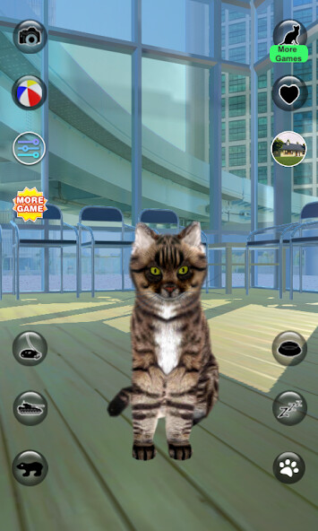 Run android online APK Talking Reality Cat from MyAndroid or emulate Talking Reality Cat using MyAndroid Run android online APK Talking Reality Cat from MyAndroid or emulate Talking Reality Cat using MyAndroid