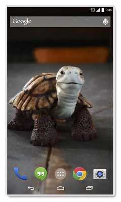 Emulate Android APK Talking Turtle Live Wallpaper