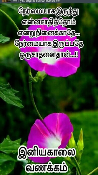 Run android online APK Tamil Morning Quotes from MyAndroid or emulate Tamil Morning Quotes using MyAndroid Run android online APK Tamil Morning Quotes from MyAndroid or emulate Tamil Morning Quotes using MyAndroid