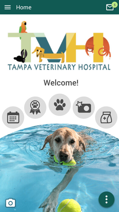 Emulate iPhone app Tampa Veterinary Hospital using MyAndroid