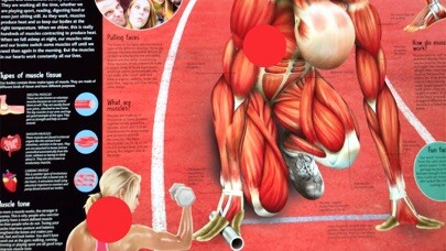 Emulate iPhone app TapADot-HumanBody using MyAndroid