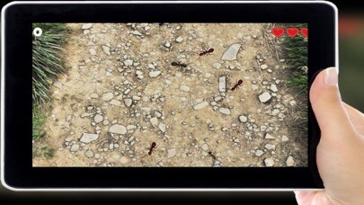 Emulate iPhone app Tap Ant Fast Time using MyAndroid Emulate iPhone app Tap Ant Fast Time using MyAndroid