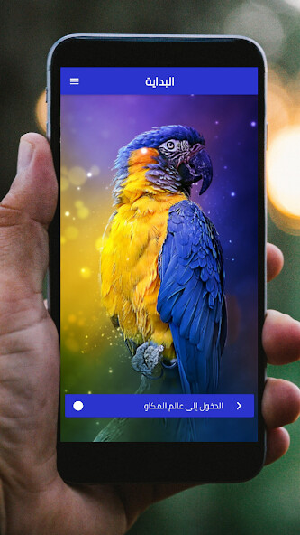 Run android online APK Teaching Macaw parrot to speak from MyAndroid or emulate Teaching Macaw parrot to speak using MyAndroid