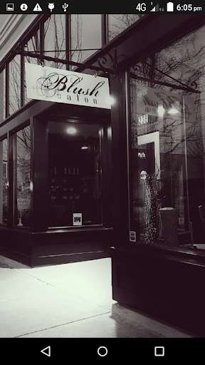 Run android online APK Team Blush from MyAndroid or emulate Team Blush using MyAndroid