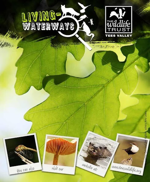 Run android online APK Tees Valley Wildlife Recorder from MyAndroid or emulate Tees Valley Wildlife Recorder using MyAndroid Run android online APK Tees Valley Wildlife Recorder from MyAndroid or emulate Tees Valley Wildlife Recorder using MyAndroid