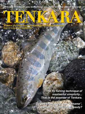 Emulate Android APK TENKARA JAPAN