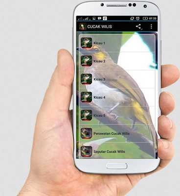 Emulate Android APK TERAPI CUCAK WILIS MASTER Emulate Android APK TERAPI CUCAK WILIS MASTER