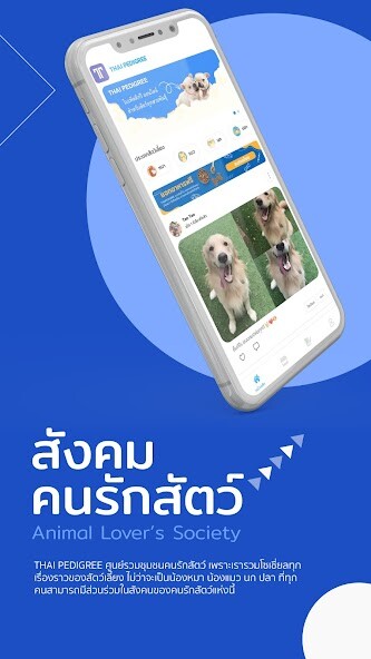 Run android online APK THAI PEDIGREE from MyAndroid or emulate THAI PEDIGREE using MyAndroid Run android online APK THAI PEDIGREE from MyAndroid or emulate THAI PEDIGREE using MyAndroid