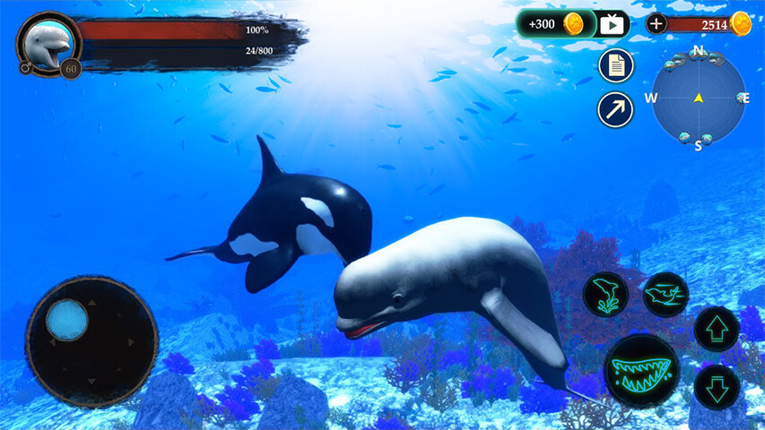 Run android online APK The Beluga Whale from MyAndroid or emulate The Beluga Whale using MyAndroid Run android online APK The Beluga Whale from MyAndroid or emulate The Beluga Whale using MyAndroid
