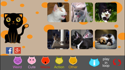 Emulate iPhone app The Best Funny Kittens using MyAndroid Emulate iPhone app The Best Funny Kittens using MyAndroid