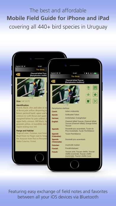 Emulate iPhone app The Birds of Uruguay using MyAndroid