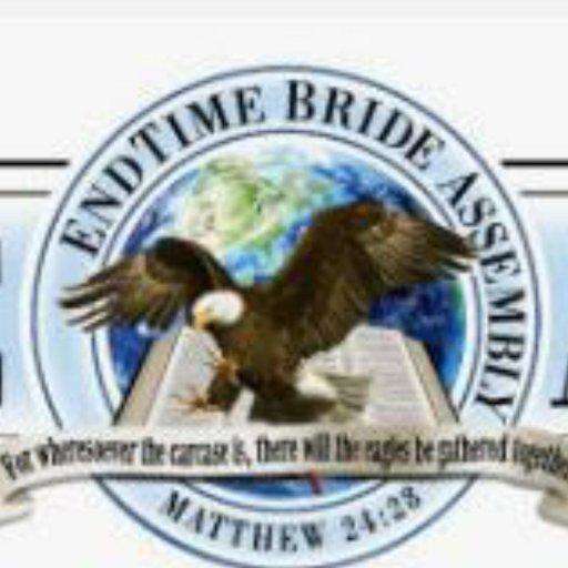 Run android online APK THE BRIDE RADIO from MyAndroid or emulate THE BRIDE RADIO using MyAndroid Run android online APK THE BRIDE RADIO from MyAndroid or emulate THE BRIDE RADIO using MyAndroid