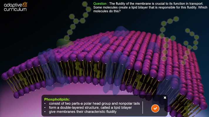 Emulate Android APK The Cell Membrane Emulate Android APK The Cell Membrane