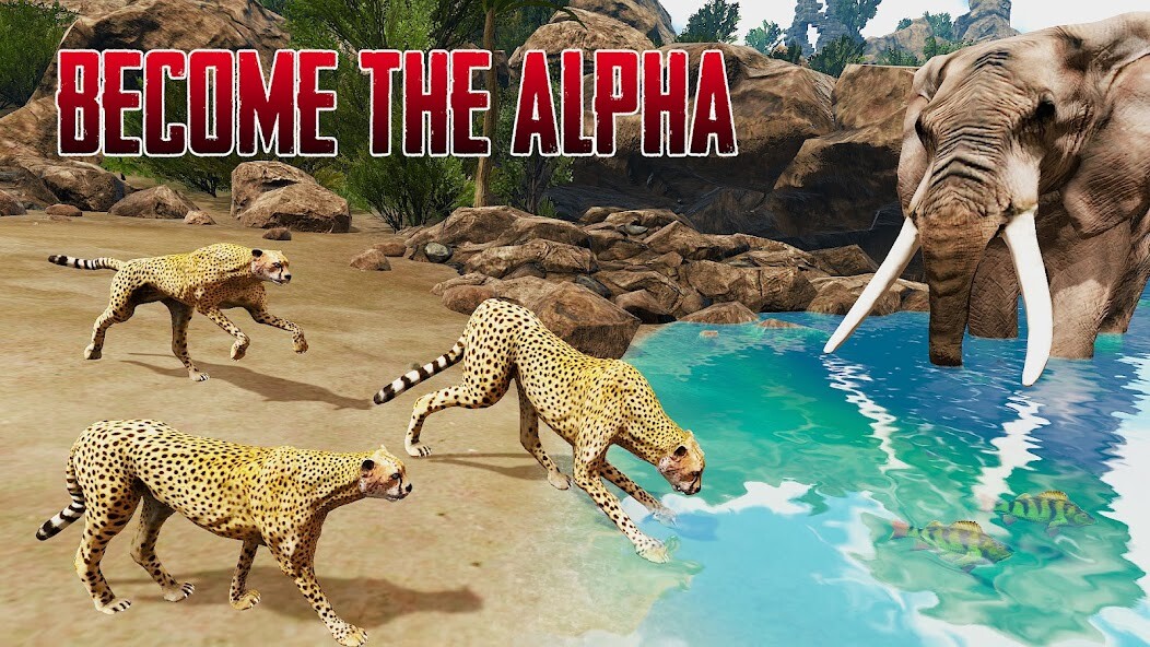 Run android online APK The Cheetah - Animal Simulator from MyAndroid or emulate The Cheetah - Animal Simulator using MyAndroid Run android online APK The Cheetah - Animal Simulator from MyAndroid or emulate The Cheetah - Animal Simulator using MyAndroid