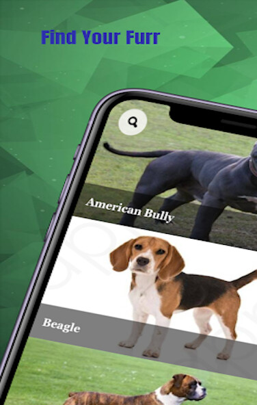 Run android online APK The Dogs Hub from MyAndroid or emulate The Dogs Hub using MyAndroid