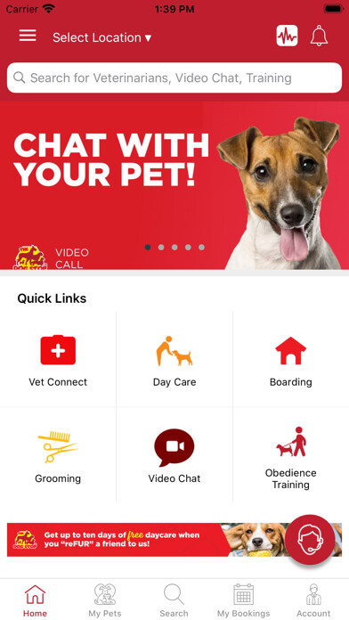 Emulate iPhone app The Dog Stop using MyAndroid Emulate iPhone app The Dog Stop using MyAndroid