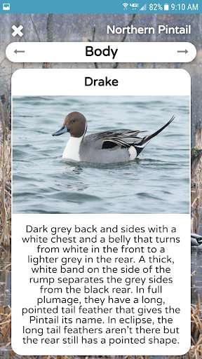 Emulate Android APK The Duck ID App Emulate Android APK The Duck ID App