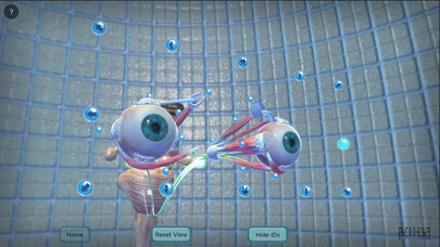 Emulate iPhone app The Extraocular Muscles using MyAndroid Emulate iPhone app The Extraocular Muscles using MyAndroid