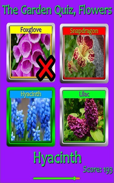 Emulate iPhone app The Garden Quiz: Flowers using MyAndroid Emulate iPhone app The Garden Quiz: Flowers using MyAndroid
