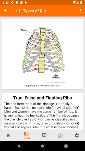 Run android online APK The Goofy Anatomist #MedEd from MyAndroid or emulate The Goofy Anatomist #MedEd using MyAndroid Run android online APK The Goofy Anatomist #MedEd from MyAndroid or emulate The Goofy Anatomist #MedEd using MyAndroid