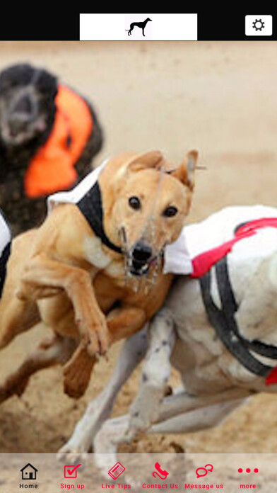 Emulate iPhone app The Greyhound Tipster using MyAndroid