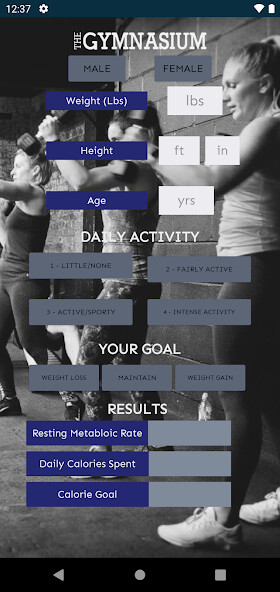 Run android online APK The Gymnasium from MyAndroid or emulate The Gymnasium using MyAndroid Run android online APK The Gymnasium from MyAndroid or emulate The Gymnasium using MyAndroid