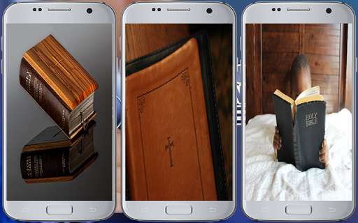 Emulate Android APK The Holy Bible (Offline)