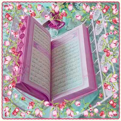 Emulate Android APK The Holy Quran With English Translation Emulate Android APK The Holy Quran With English Translation