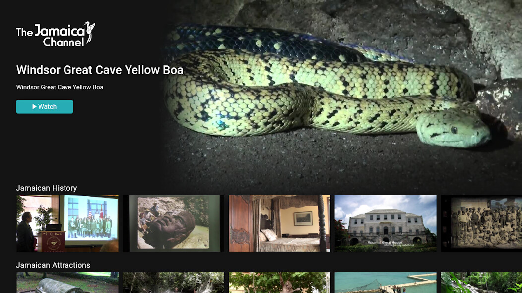 Run android online APK The Jamaica Channel from MyAndroid or emulate The Jamaica Channel using MyAndroid Run android online APK The Jamaica Channel from MyAndroid or emulate The Jamaica Channel using MyAndroid