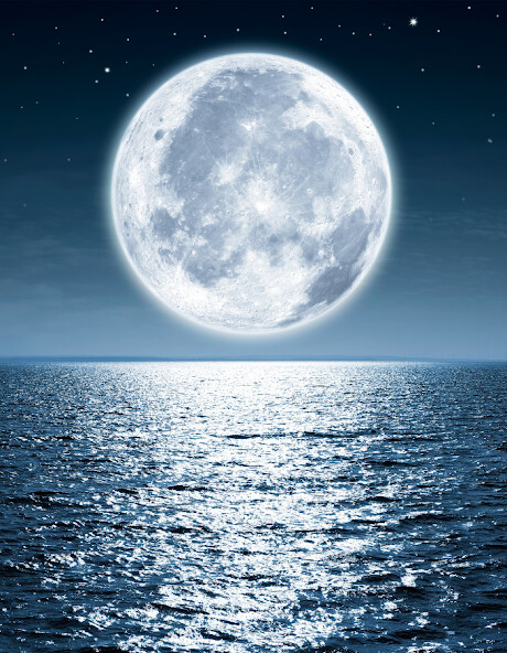 Run android online APK The Magnificent Moon from MyAndroid or emulate The Magnificent Moon using MyAndroid