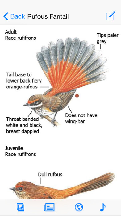 Emulate iPhone app The Michael Morcombe and David Stewart eGuide to the Birds of Australia LITE using MyAndroid Emulate iPhone app The Michael Morcombe and David Stewart eGuide to the Birds of Australia LITE using MyAndroid
