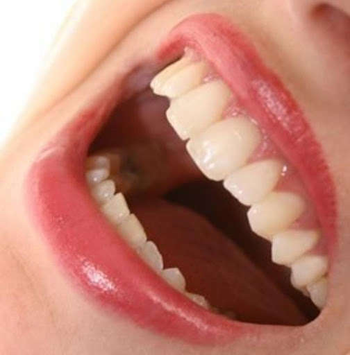 Run android online APK The most viral videos of the year. from MyAndroid or emulate The most viral videos of the year. using MyAndroid