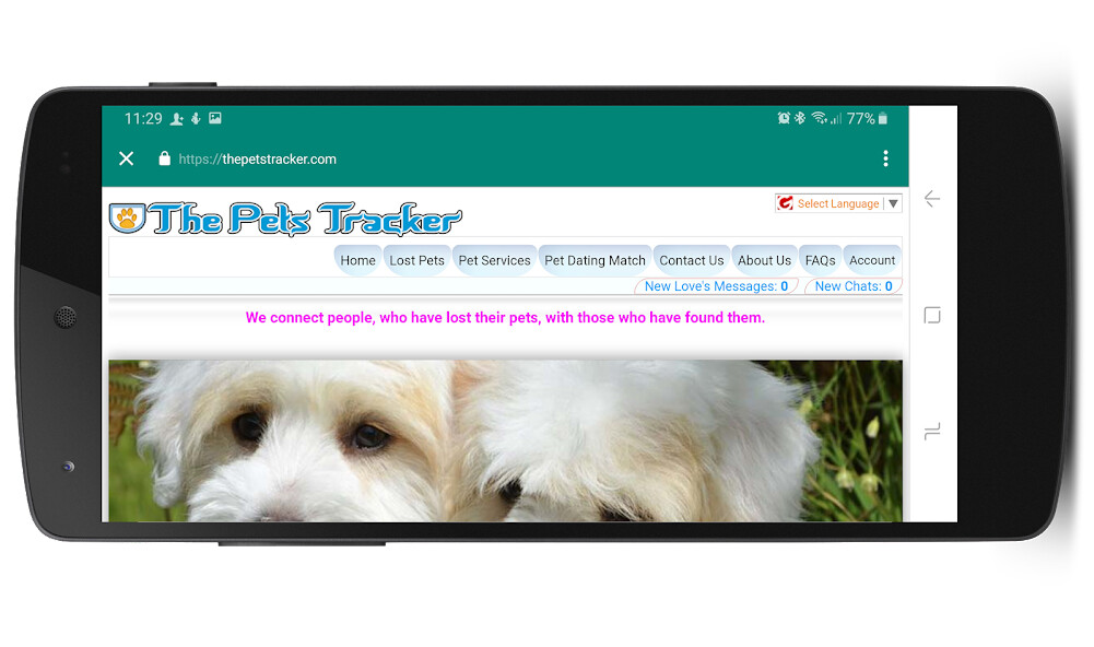 Run android online APK The Pets Tracker from MyAndroid or emulate The Pets Tracker using MyAndroid Run android online APK The Pets Tracker from MyAndroid or emulate The Pets Tracker using MyAndroid