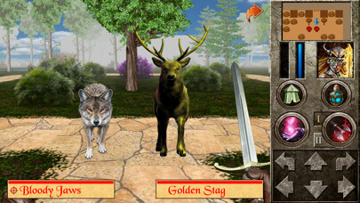 Emulate iPhone app The Quest - Caerworn Castle using MyAndroid