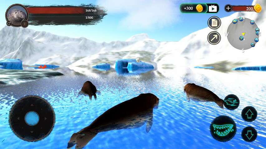 Run android online APK The Seal Elephant from MyAndroid or emulate The Seal Elephant using MyAndroid