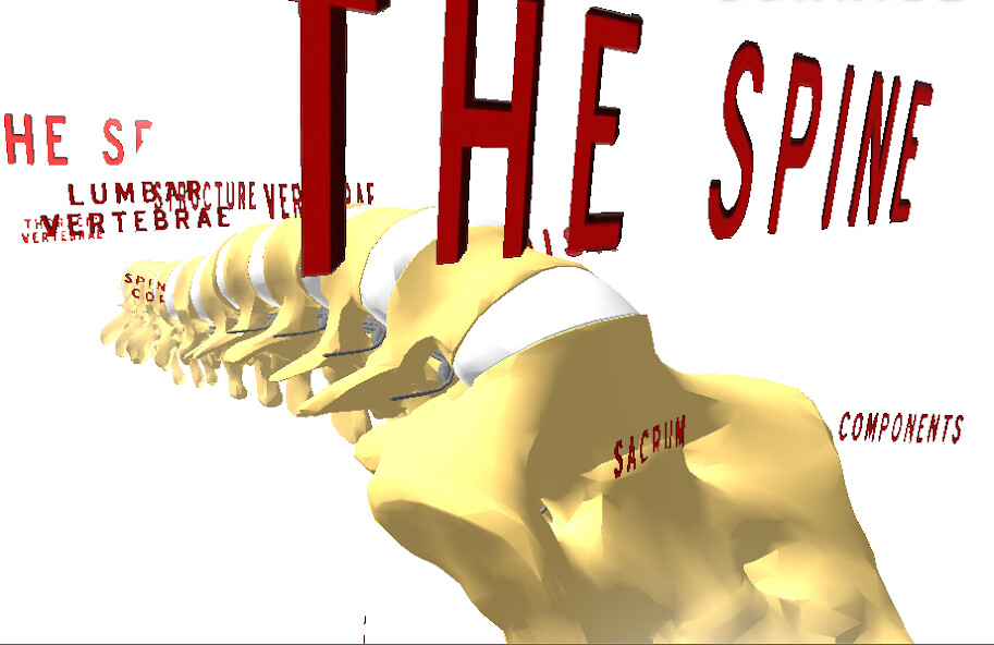 Run android online APK The Spine VR from MyAndroid or emulate The Spine VR using MyAndroid