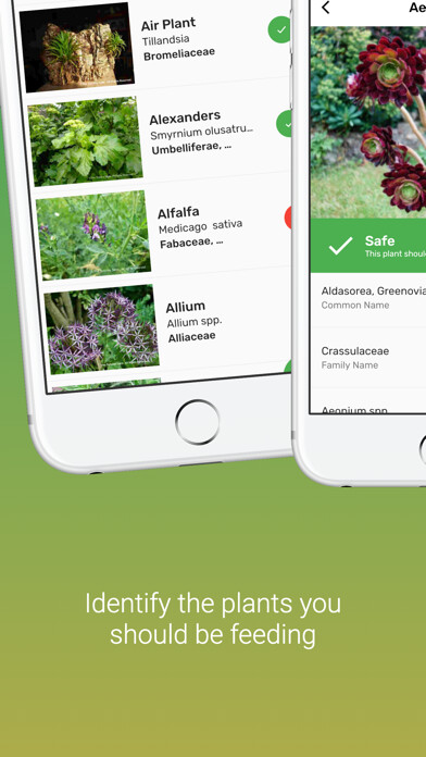 Emulate iPhone app The Tortoise Table Plant DB using MyAndroid Emulate iPhone app The Tortoise Table Plant DB using MyAndroid