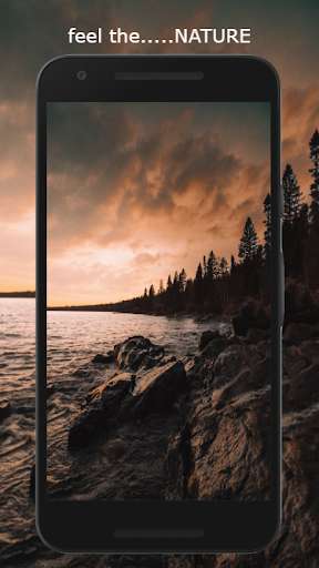 Run android online APK THE WALL - wallpaper app from MyAndroid or emulate THE WALL - wallpaper app using MyAndroid Run android online APK THE WALL - wallpaper app from MyAndroid or emulate THE WALL - wallpaper app using MyAndroid