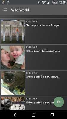 Emulate Android APK The Wild World