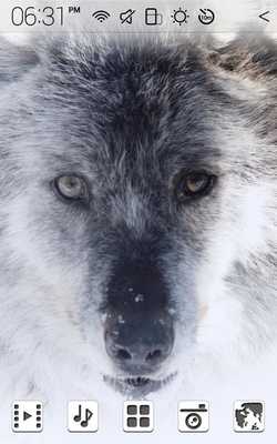 Emulate Android APK The Wolf Atom theme Emulate Android APK The Wolf Atom theme