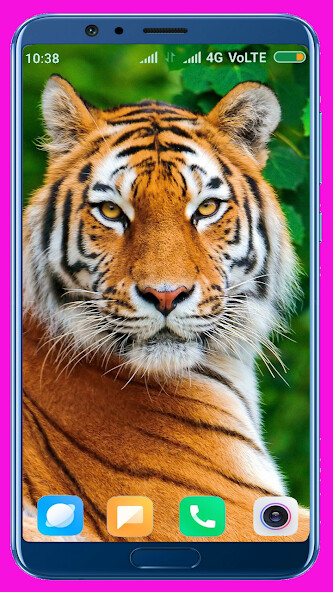 Emulate Android APK Tiger HD Wallpaper Emulate Android APK Tiger HD Wallpaper