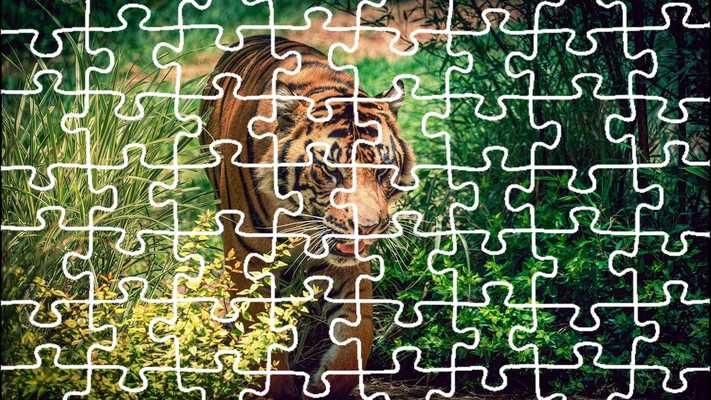 Emulate Android APK Tiger Jigsaw Puzzle King Emulate Android APK Tiger Jigsaw Puzzle King