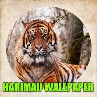 Run android online APK Tiger Live Wallpaper HD 2023 from MyAndroid or emulate Tiger Live Wallpaper HD 2023 using MyAndroid Run android online APK Tiger Live Wallpaper HD 2023 from MyAndroid or emulate Tiger Live Wallpaper HD 2023 using MyAndroid