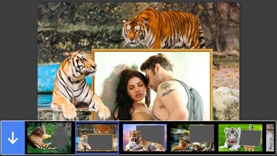 Emulate iPhone app Tiger Photo Frame - Great and Fantastic Frames for your photo using MyAndroid Emulate iPhone app Tiger Photo Frame - Great and Fantastic Frames for your photo using MyAndroid