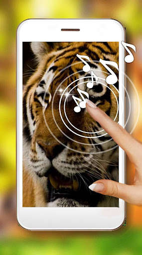 Emulate Android APK Tigers and Lions