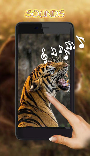 Emulate Android APK Tigers Live Wallpaper Emulate Android APK Tigers Live Wallpaper