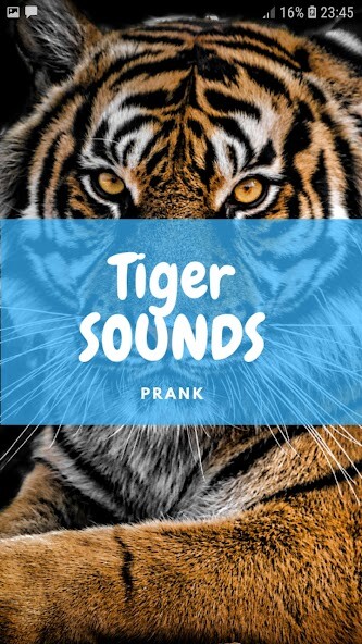 Run android online APK Tiger Sounds and Wallpapers from MyAndroid or emulate Tiger Sounds and Wallpapers using MyAndroid Run android online APK Tiger Sounds and Wallpapers from MyAndroid or emulate Tiger Sounds and Wallpapers using MyAndroid